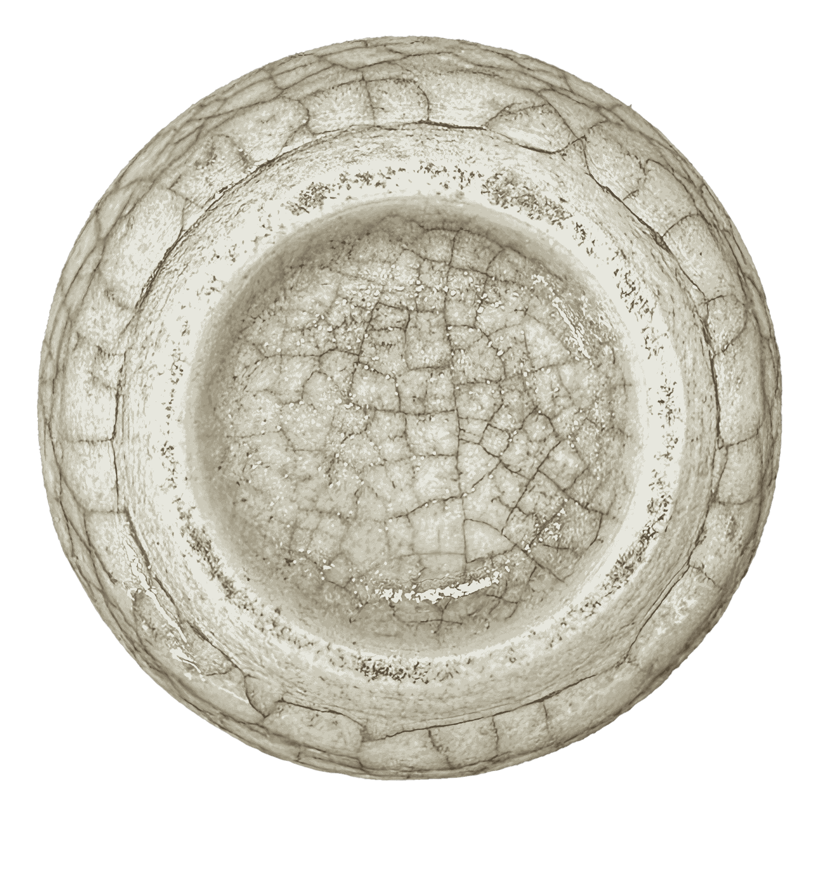 艺术品交流中心