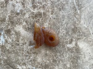 艺术品交流中心