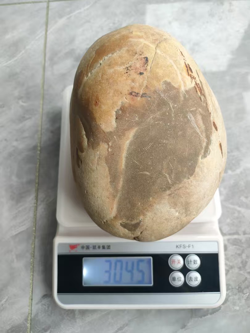 【V】蛋形化石-资源网