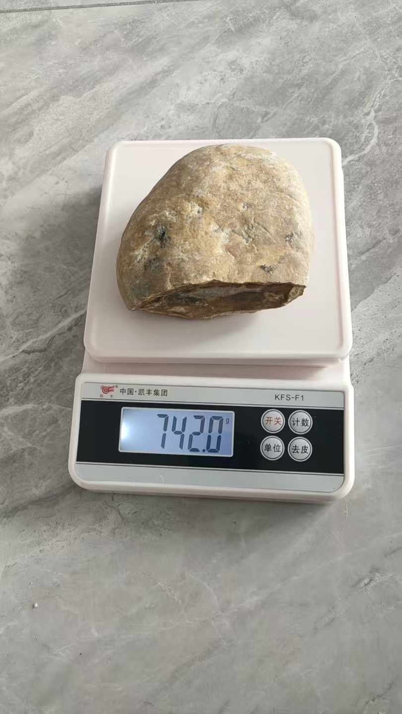 【V】蛋形化石-资源网