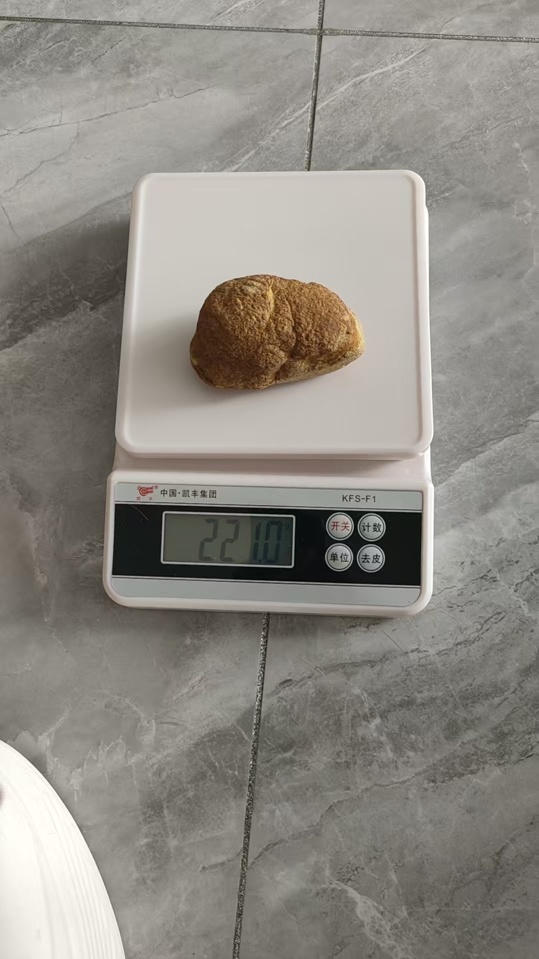 【V】蛋形化石-资源网