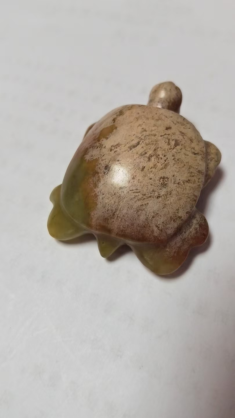 【V】红山玉龟-资源网