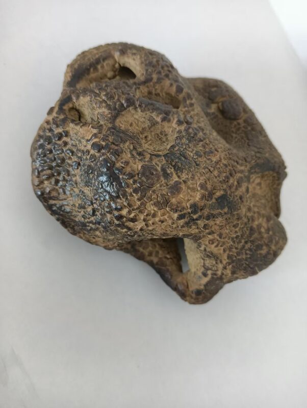 艺术品交流中心