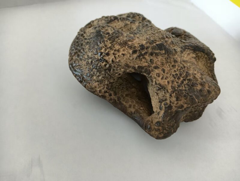 艺术品交流中心