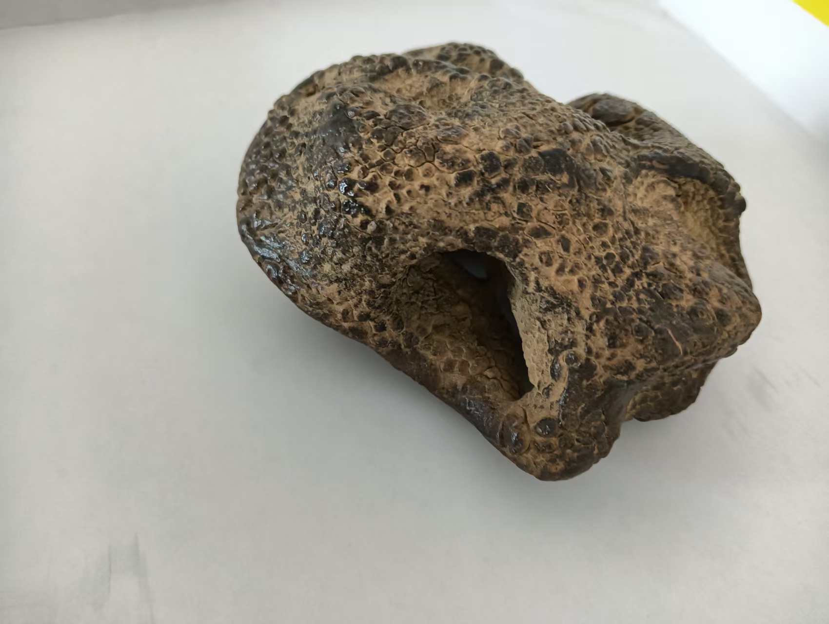 艺术品交流中心