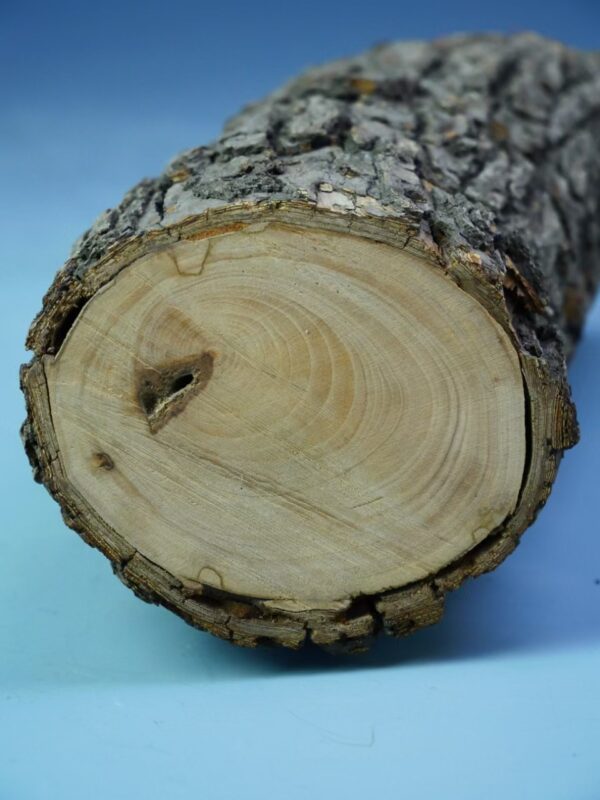 艺术品交流中心