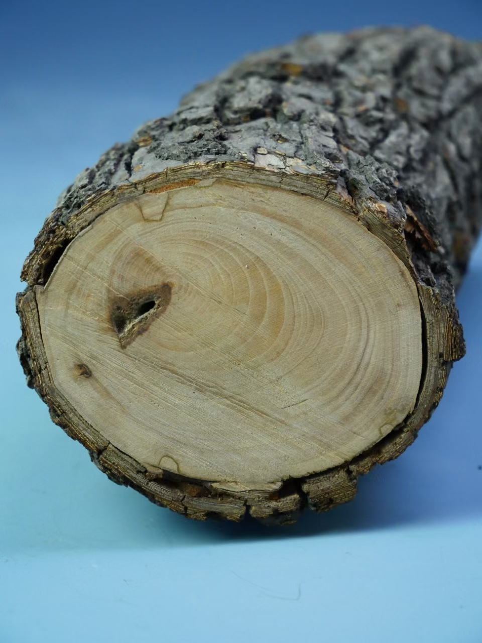 艺术品交流中心