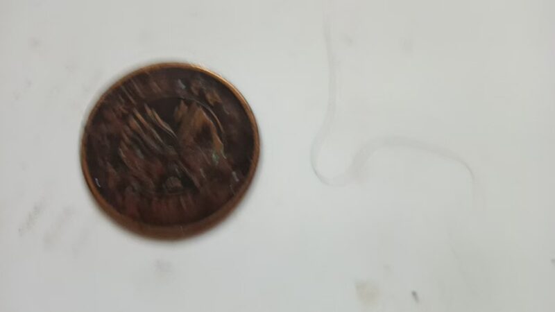 艺术品交流中心