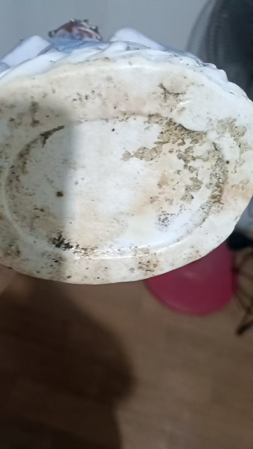 艺术品交流中心