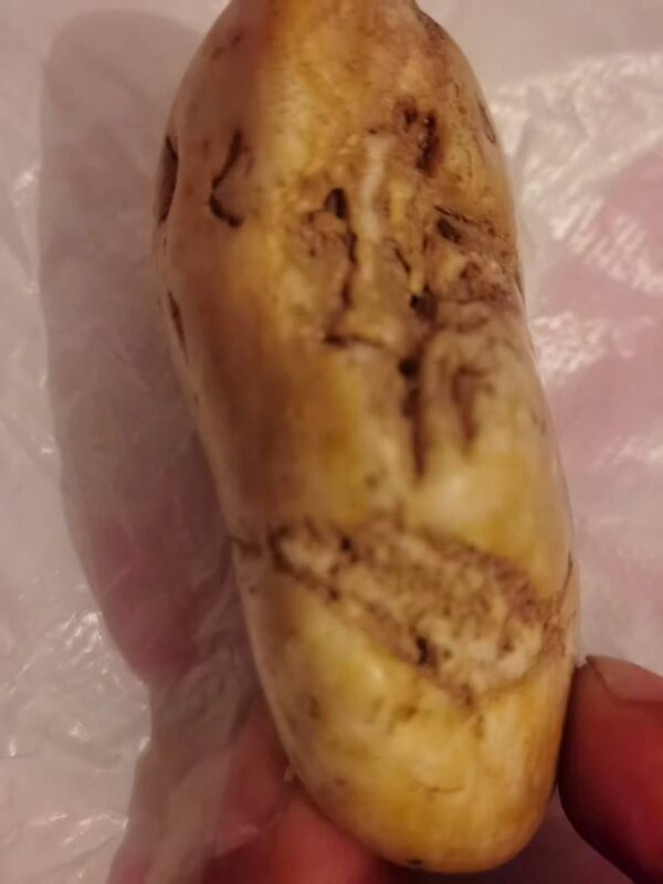 艺术品交流中心