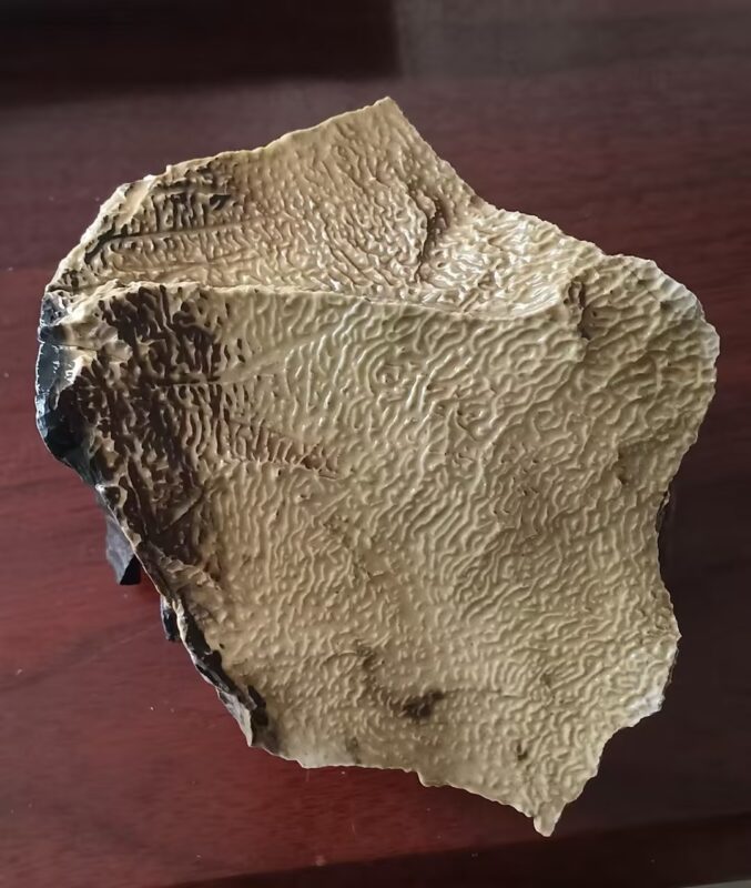 艺术品交流中心