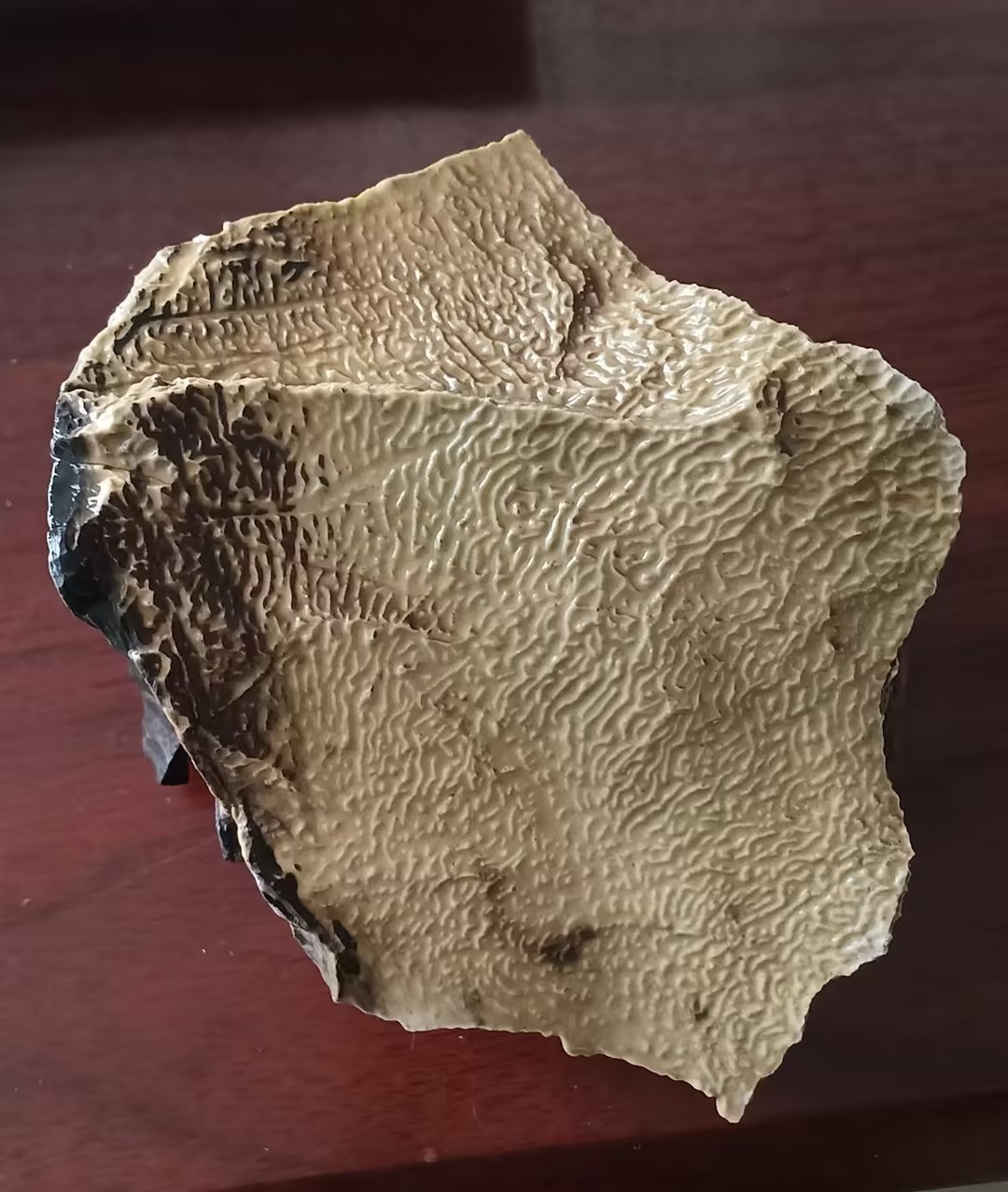 艺术品交流中心